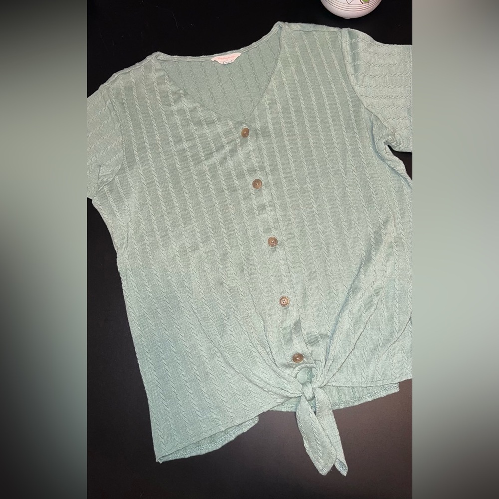 Weatherproof Vintage Tie Front V-Neck Braided Knit Top Size Large Like New